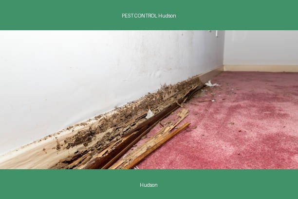 PEST CONTROL Hudson